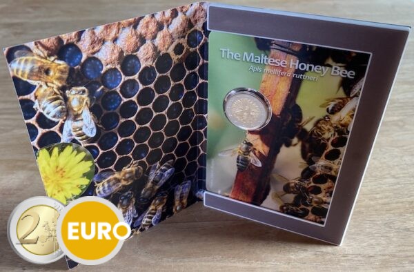 2 euros Malte 2024 - L'abeille domestique maltaise BU FDC Coincard